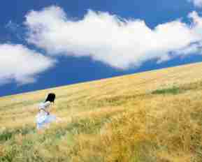 定‍制‍自‍动‍化﻿脚​本‌教​程﻿视‍频‍